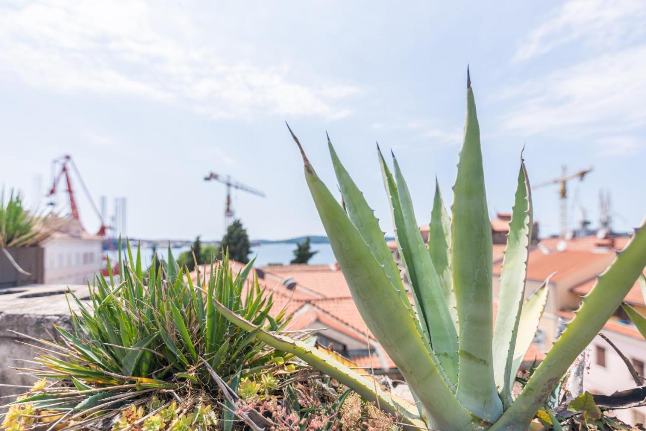 Apartament Diana'S Chamber Pula Zewnętrze zdjęcie
